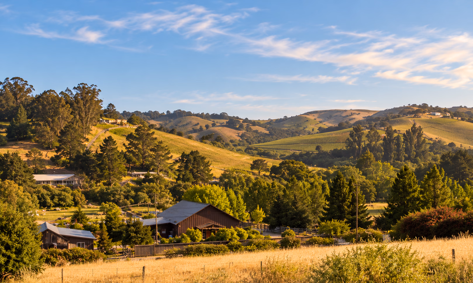 Farm buildings below oak-covered hills near Sebastopol