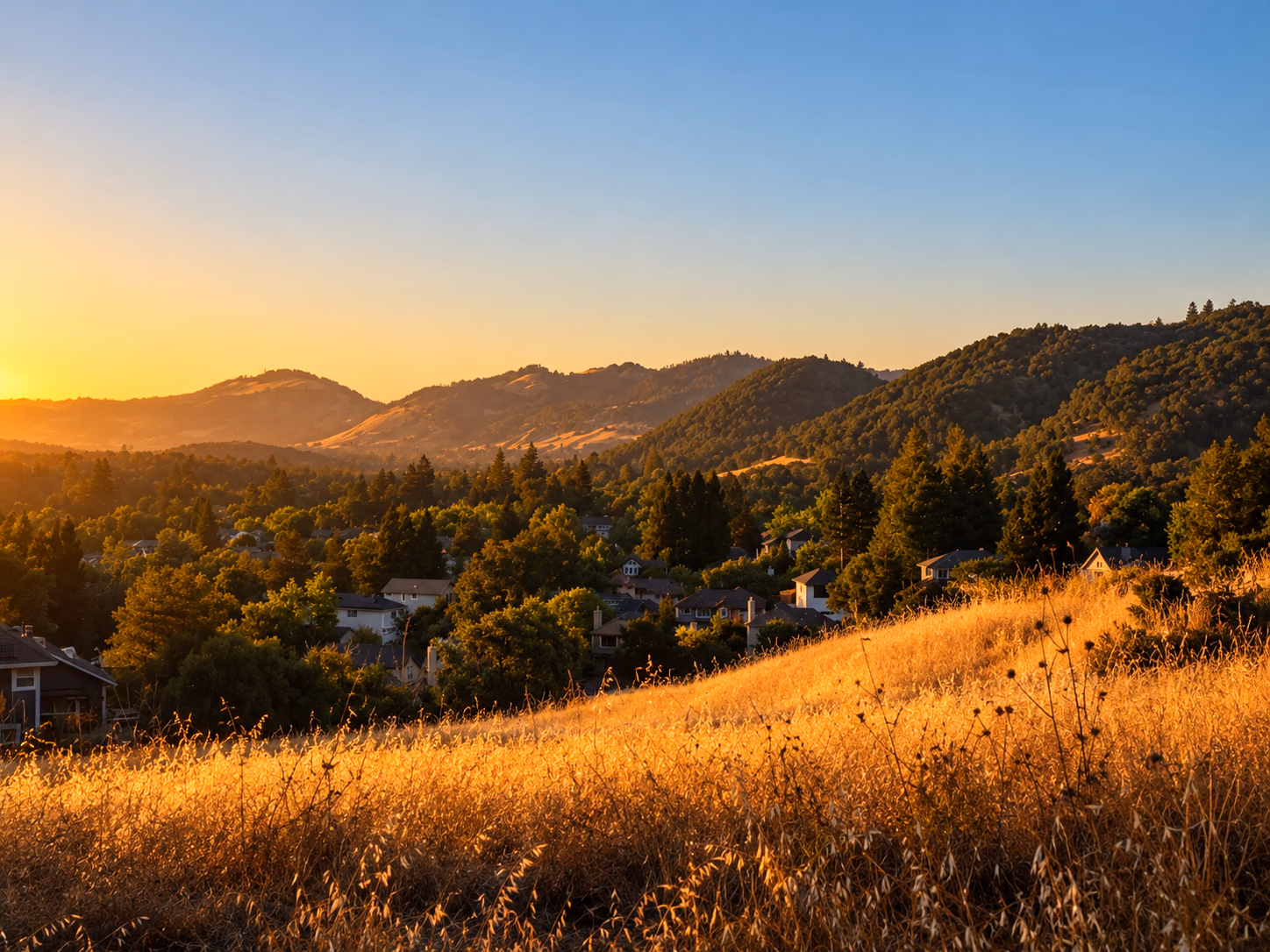 Homes among the trees below golden Sonoma County hills at sunset
